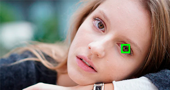 Infalible sistema de enfoque a ojos de personas y animales