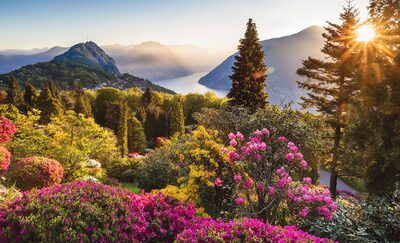 Images 4K Style Free: Unleash Stunning Visuals Without Spending a Dime!